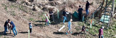 Zusammen mit dem Kindergarten Sommersell wurden viele weitere neue Bäume auf dem Lattberg gepflanzt