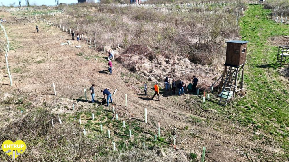 PflanzaktionKiga25001