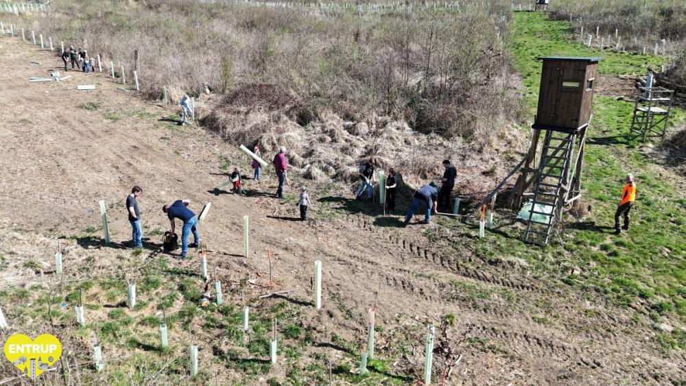 PflanzaktionKiga25002