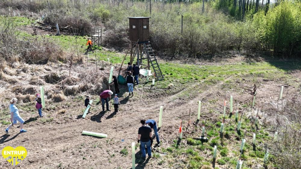 PflanzaktionKiga25003