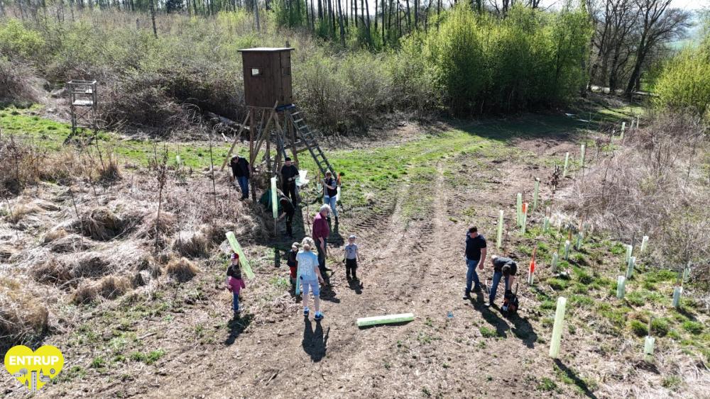 PflanzaktionKiga25004