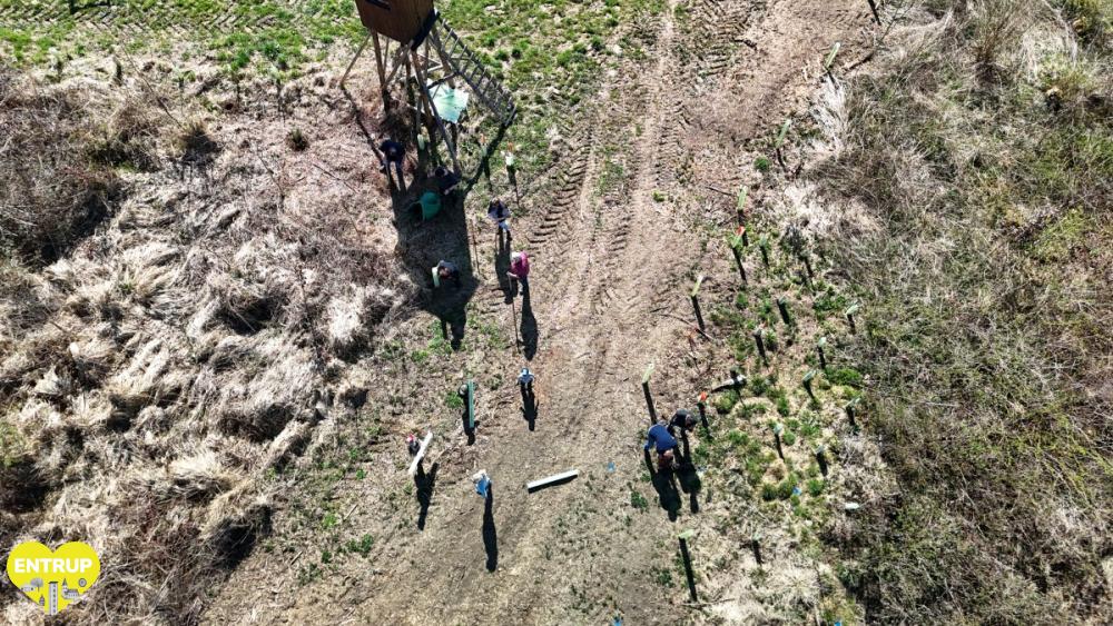 PflanzaktionKiga25005