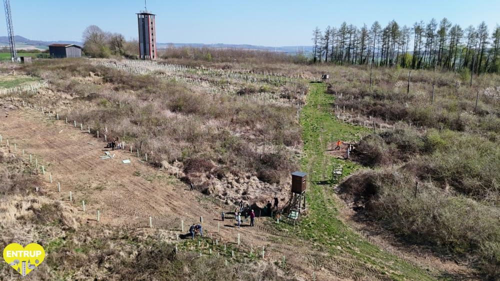 PflanzaktionKiga25006