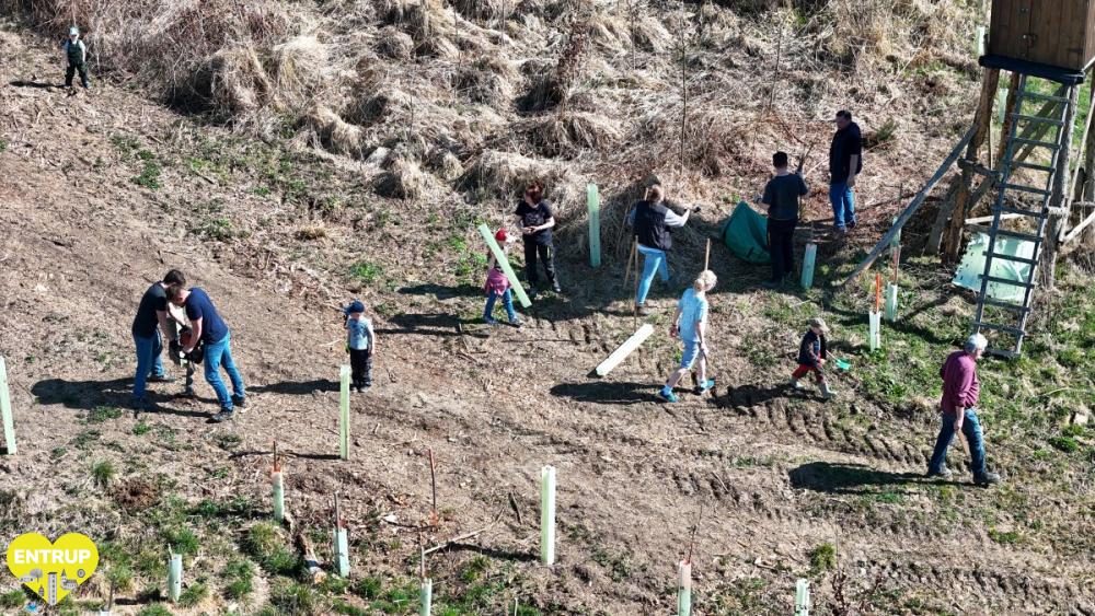 PflanzaktionKiga25007