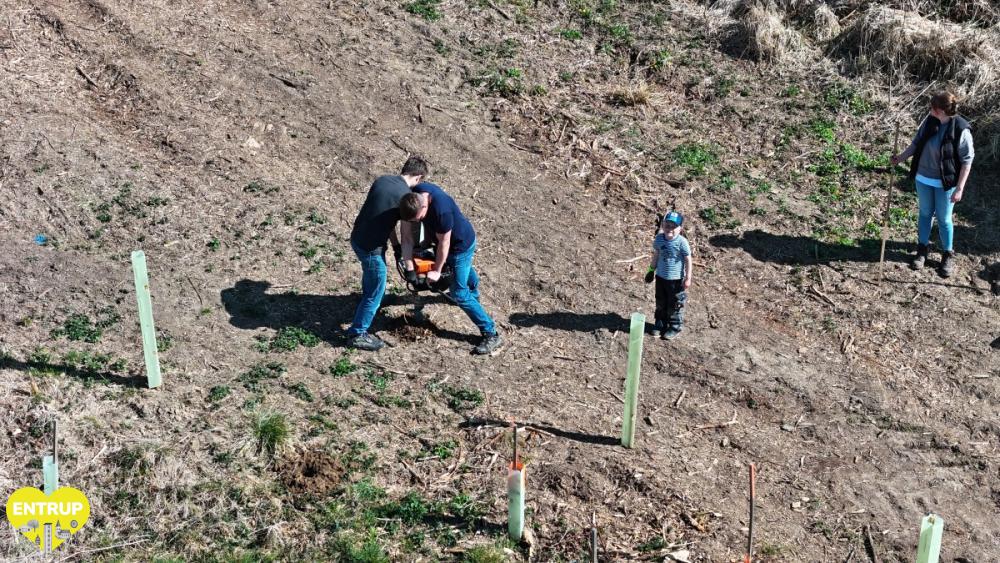 PflanzaktionKiga25008