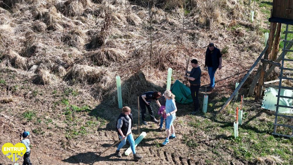 PflanzaktionKiga25009