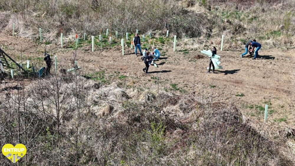 PflanzaktionKiga25010