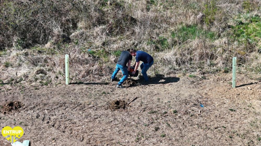 PflanzaktionKiga25011