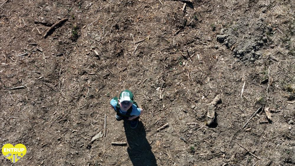 PflanzaktionKiga25014