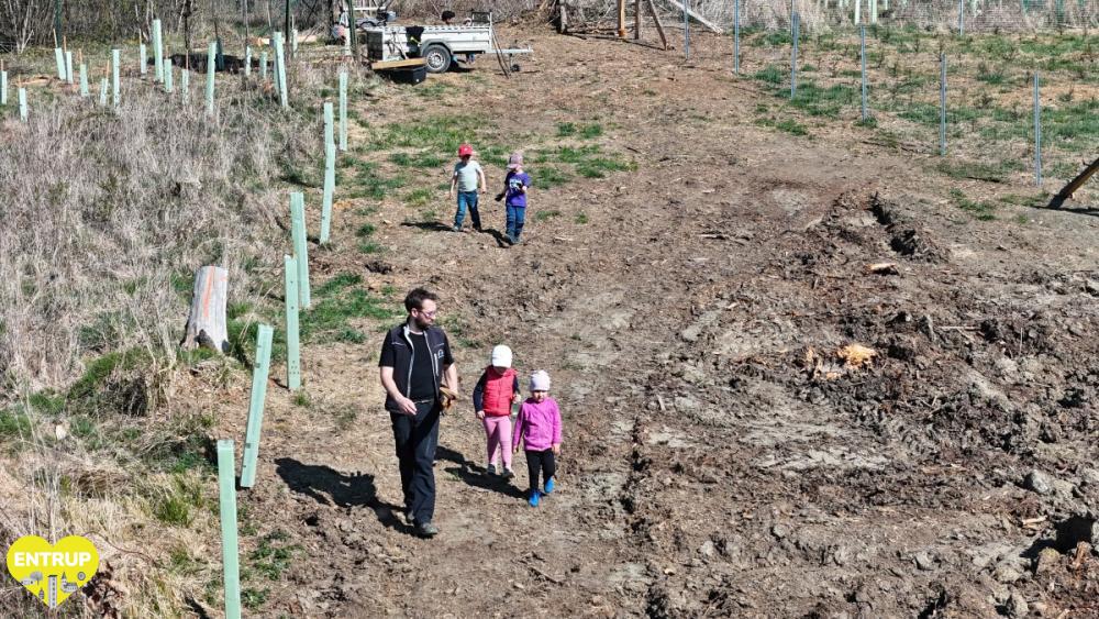 PflanzaktionKiga25015