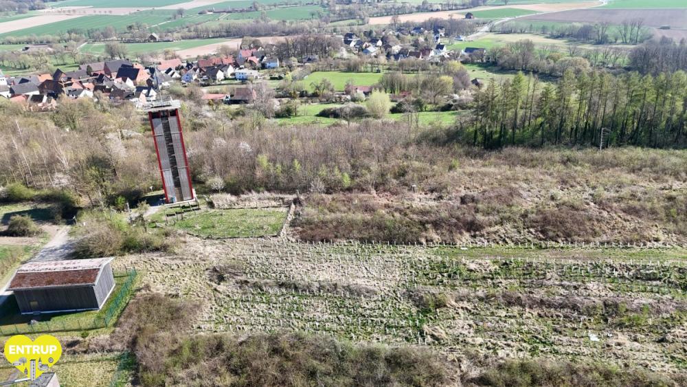 PflanzaktionKiga25020